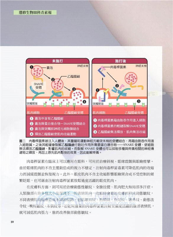 選修生物Ⅲ科青素報