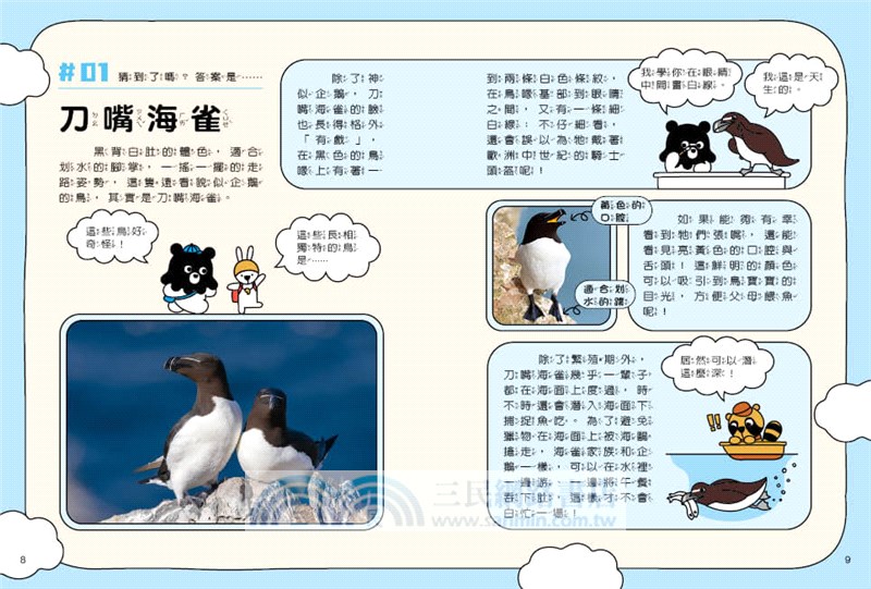 章魚熊的動物觀察筆記：外形篇