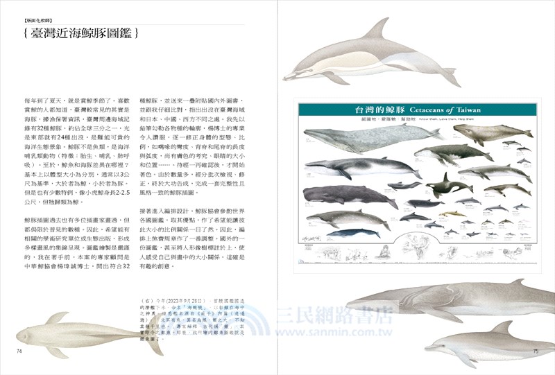 綠色思維 自然美學：一筆懸命，台灣藝想設計師＆畫家柯鴻圖的美學之路