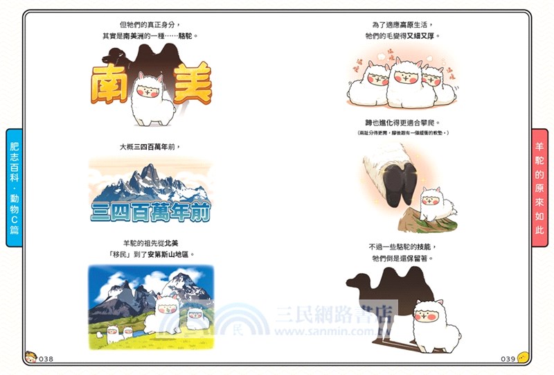 肥志百科07：原來你是這樣的動物C篇