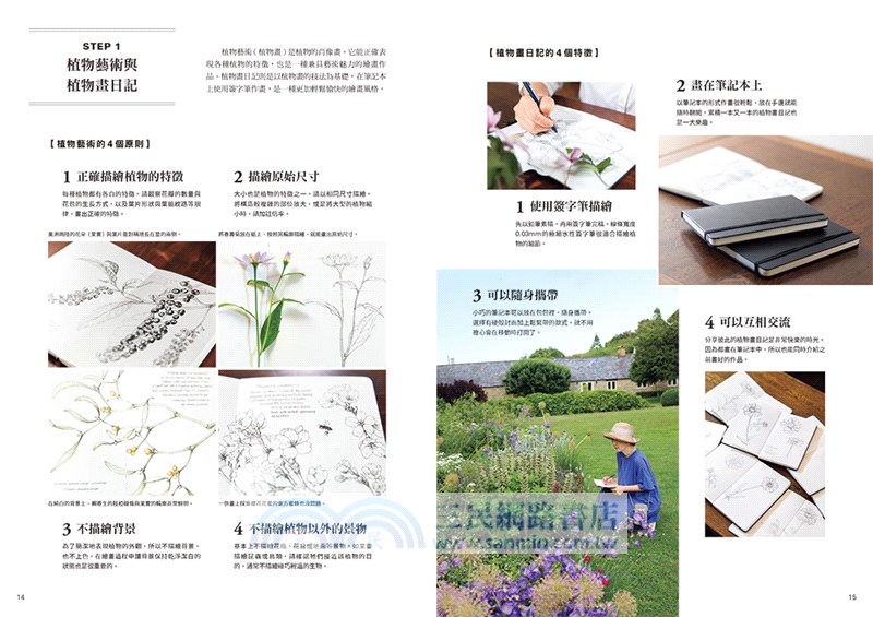 BOTANICAL DIARY零基礎植物藝術畫：繪出日常療癒時光