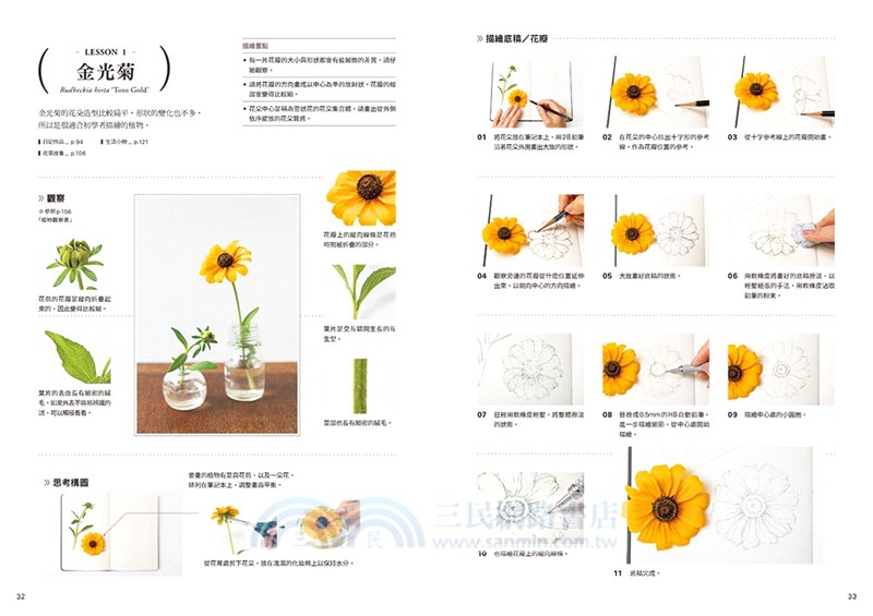 BOTANICAL DIARY零基礎植物藝術畫：繪出日常療癒時光