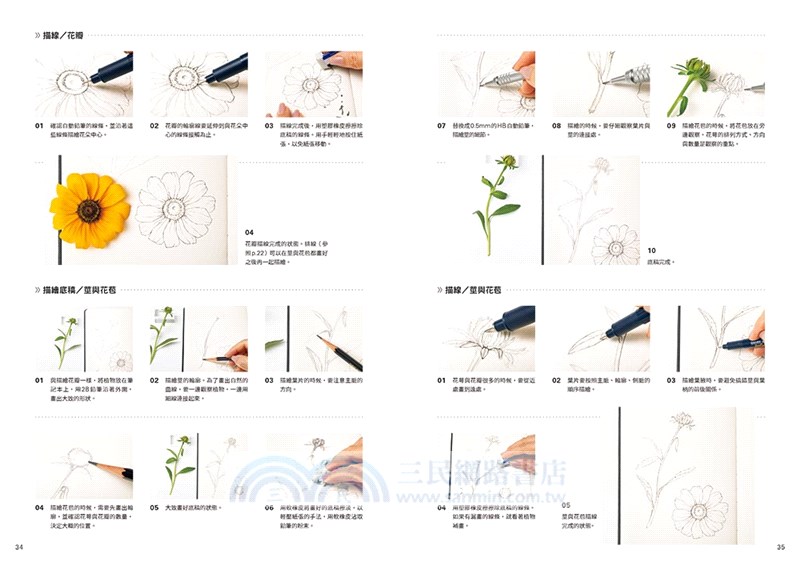 BOTANICAL DIARY零基礎植物藝術畫：繪出日常療癒時光