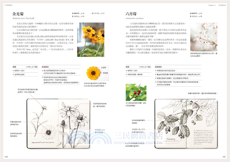 BOTANICAL DIARY零基礎植物藝術畫：繪出日常療癒時光