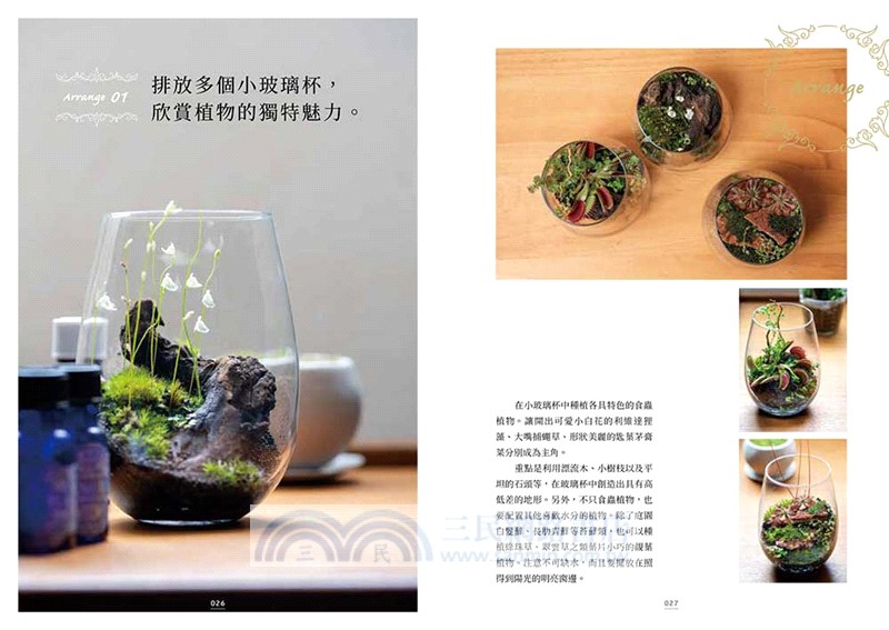珍奇食蟲植物圖鑑：品種特性×植栽照護，打造充滿個性的庭園