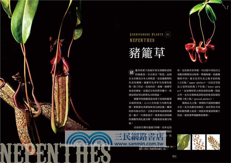 珍奇食蟲植物圖鑑：品種特性×植栽照護，打造充滿個性的庭園