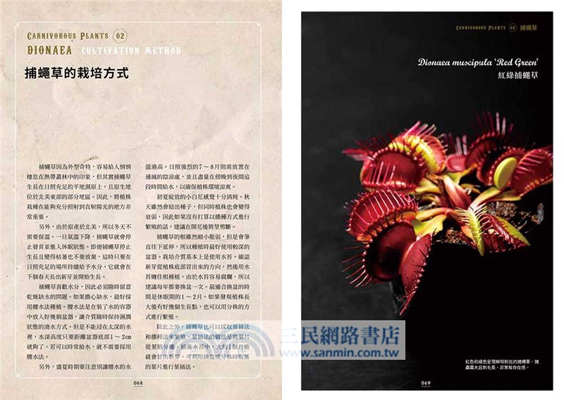 珍奇食蟲植物圖鑑：品種特性×植栽照護，打造充滿個性的庭園