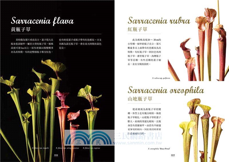 珍奇食蟲植物圖鑑：品種特性×植栽照護，打造充滿個性的庭園