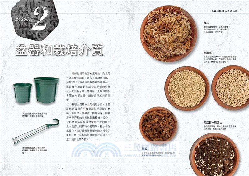 珍奇食蟲植物圖鑑：品種特性×植栽照護，打造充滿個性的庭園