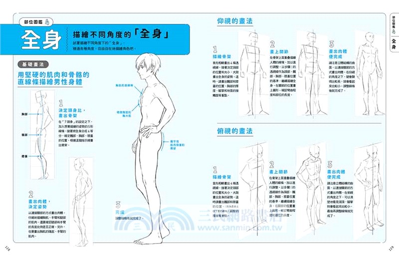 動漫男角繪製技法攻略：5大細節×900多張圖例，畫出獨特亮眼人物