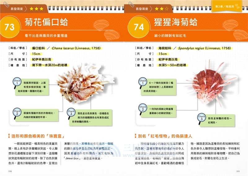 貝殼世界大探索：GO！認識我們的地球