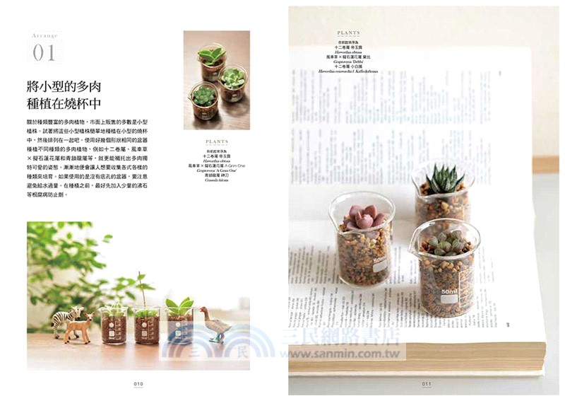 多肉植物栽培圖鑑：認識不同多肉植物的魅力，輕鬆打造迷你綠植空間