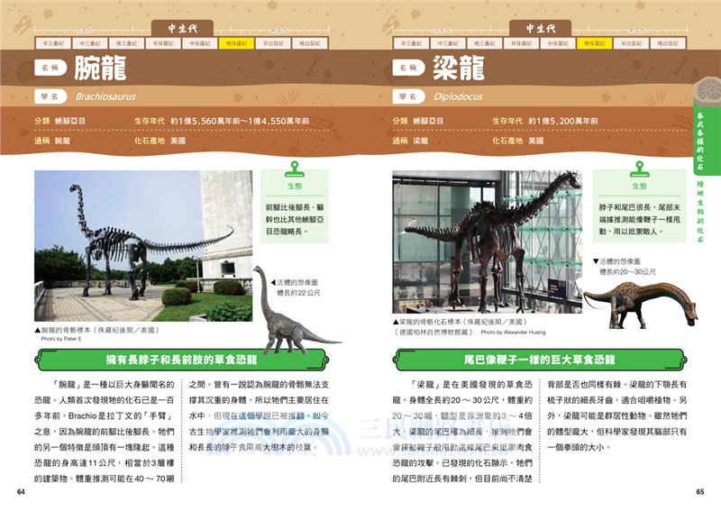 化石身世大探索：GO！認識我們的地球