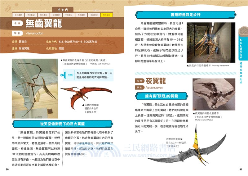 化石身世大探索：GO！認識我們的地球