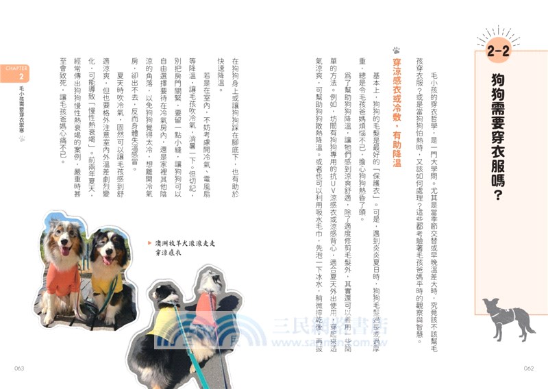 正確給愛，狗狗更好帶：國際寵物行為訓練師的7大養育指南