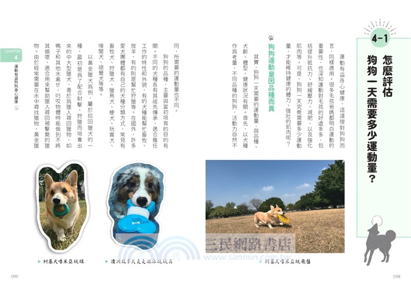 正確給愛，狗狗更好帶：國際寵物行為訓練師的7大養育指南