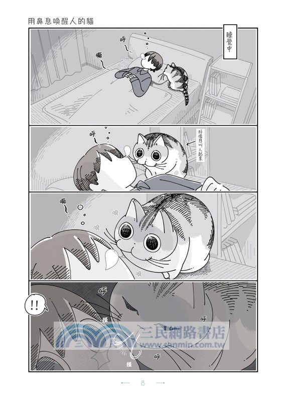 今晚有貓伴身邊05