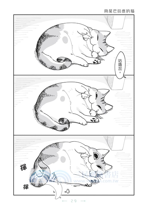 今晚有貓伴身邊05