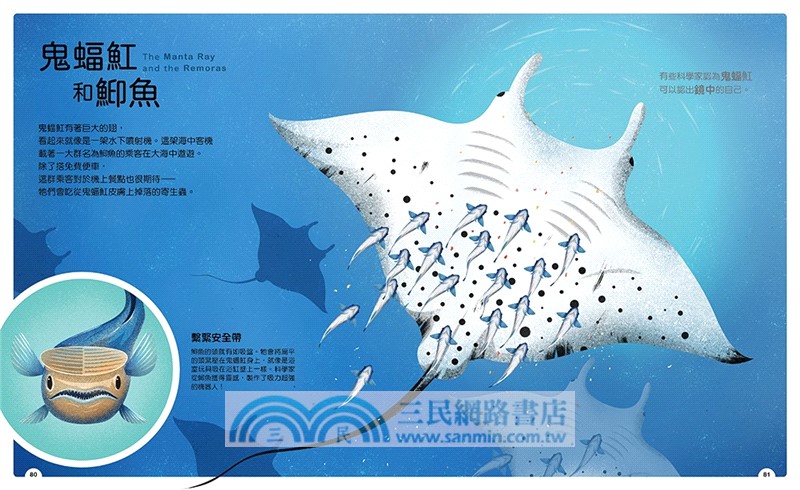 動物小夥伴：59 組你想不到的最佳拍檔，歡迎來到動植物共生的奇妙世界