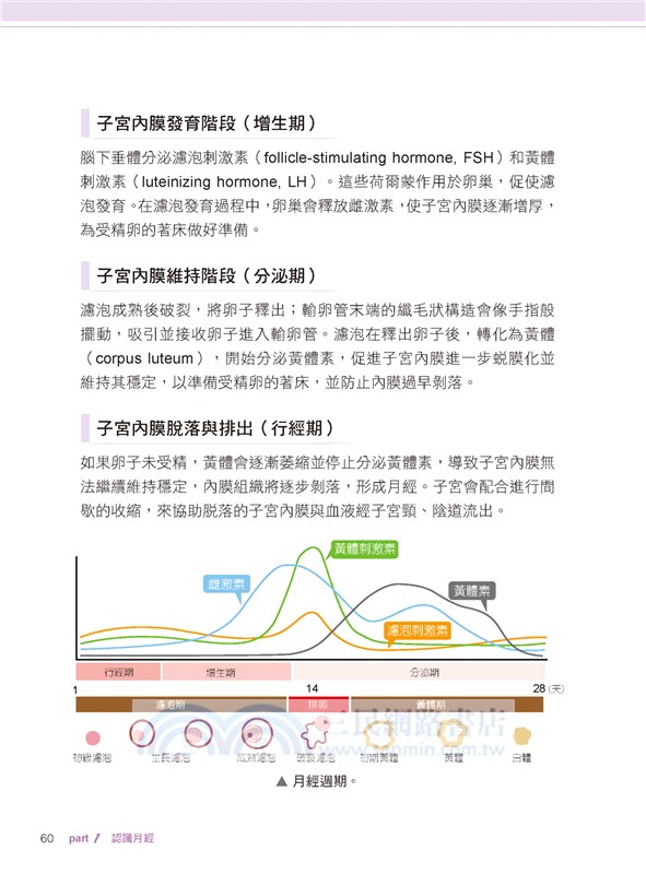 與妳的子宮對話：月經、生孕與健康