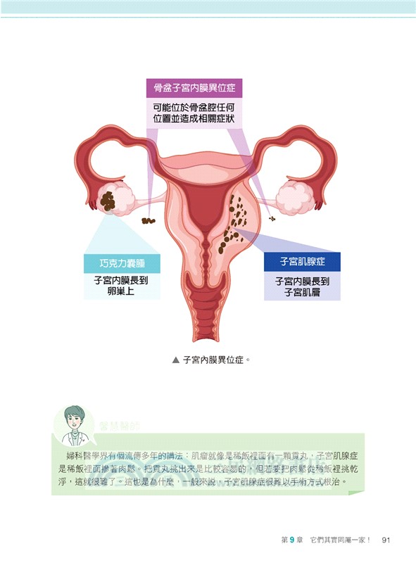 與妳的子宮對話：月經、生孕與健康
