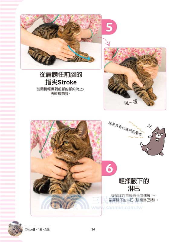 一按就有感的貓咪按摩術：讓喵星人舒服到咕嚕咕嚕，身心靈超健康的穴道與淋巴按摩