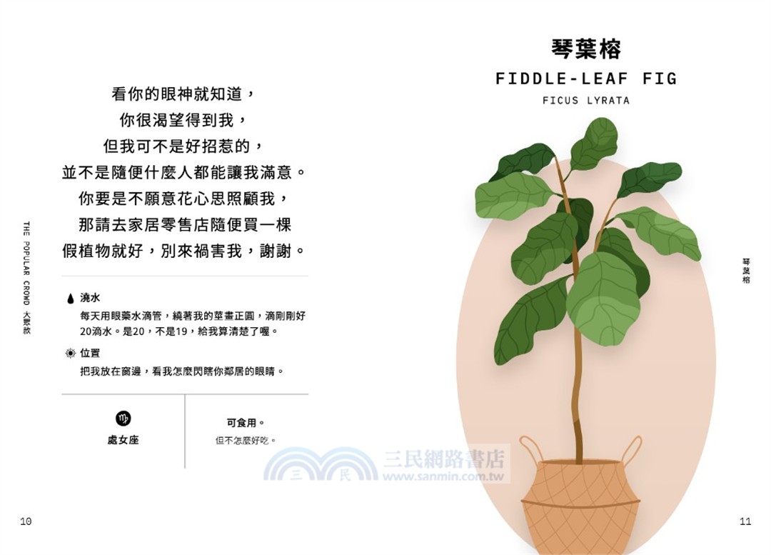 室內植物幹話日常：42種室內植物的養護（相處）之道―它們個性挑剔、意見很多、翻你白眼⋯⋯也許還在背後說你壞話（？）