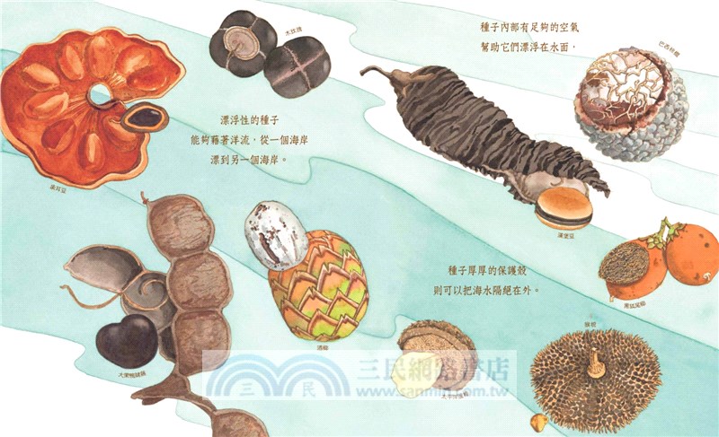 沉睡中的種子【暢銷紀念版】（大自然繪本，符合108課綱＋SDGs，科普知識與繪本藝術的完美結合）