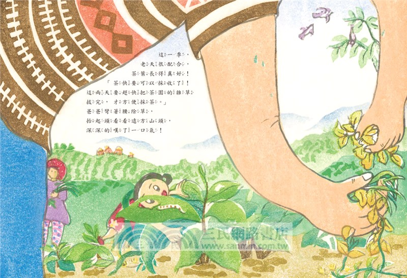 爸爸的友善茶園