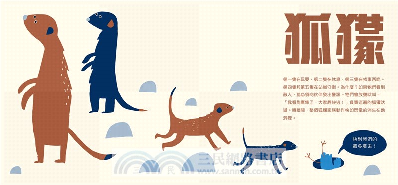 動物如何傳訊息：獅子為什麼吼來吼去？