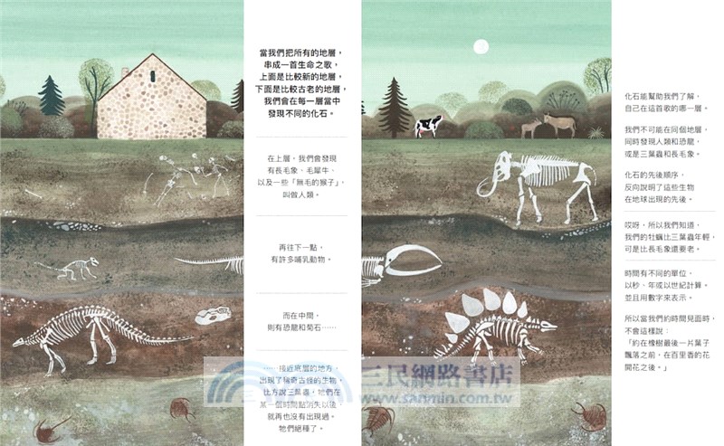 咦，山頂有牡蠣化石