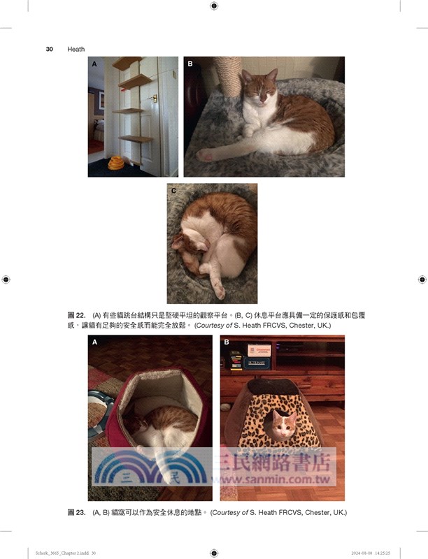 貓科實務：整合醫學與福祉（第一冊）