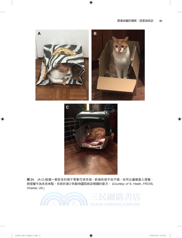 貓科實務：整合醫學與福祉（第一冊）