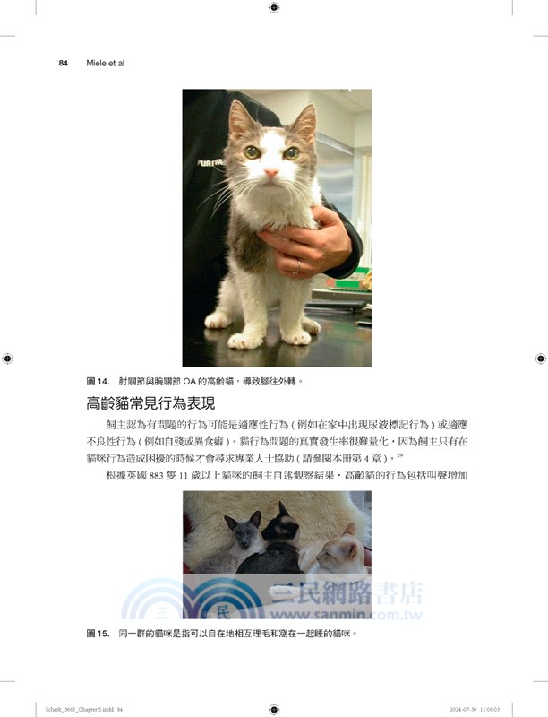 貓科實務：整合醫學與福祉（第一冊）