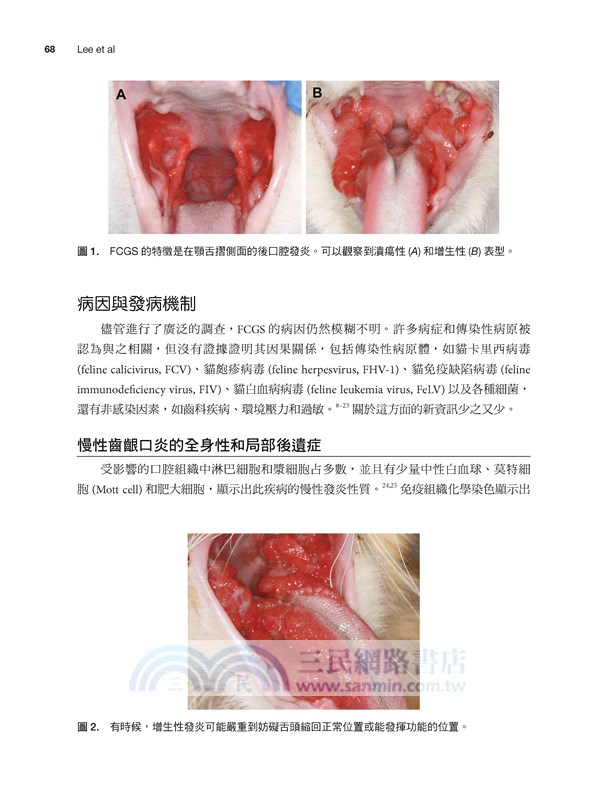 貓科實務：整合醫學與福祉（第二冊）