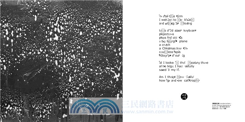 我在洪水中失去的一切：關於圖像、語言及符碼