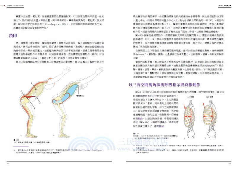 瑜伽解剖書：解開瑜伽與人體的奧祕
