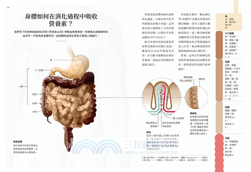 營養的科學：175張科普圖表，解析7大營養素、5大添加物，從斷食到各式流行飲食法，從腸道健康到各族群層的飲食策略，英國頂尖營養學家用科學講述身體吸收的機轉，圖解112個你最想了解的食物與健康問題