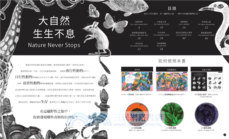 點亮奇妙大自然（RGB三原色計畫生態藝術極致之作，隨書附贈紅綠藍三色濾鏡，充滿野性美與視覺震撼）點亮奇妙大自然點亮奇妙大自然（新版，RGB三原色計畫生態藝術極致之作，隨書附贈紅綠藍三色濾鏡，充滿野性美與視覺震撼）