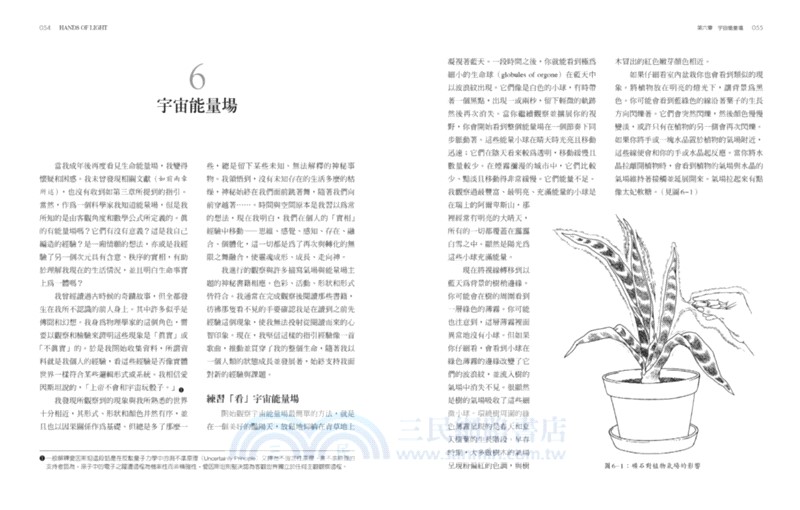 光之手：人體能量場療癒全書