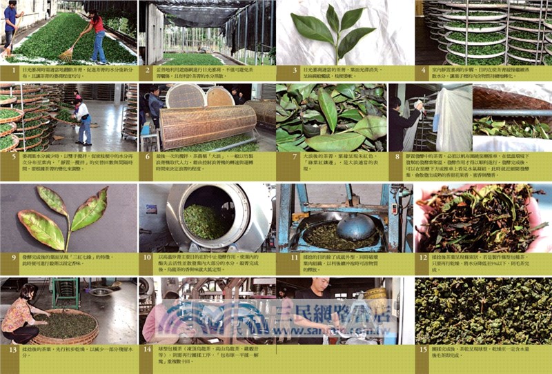 烏龍茶的世界：全方位茶職人45年心血結晶，從種茶、製茶、飲茶，告訴你烏龍茶風味的秘密