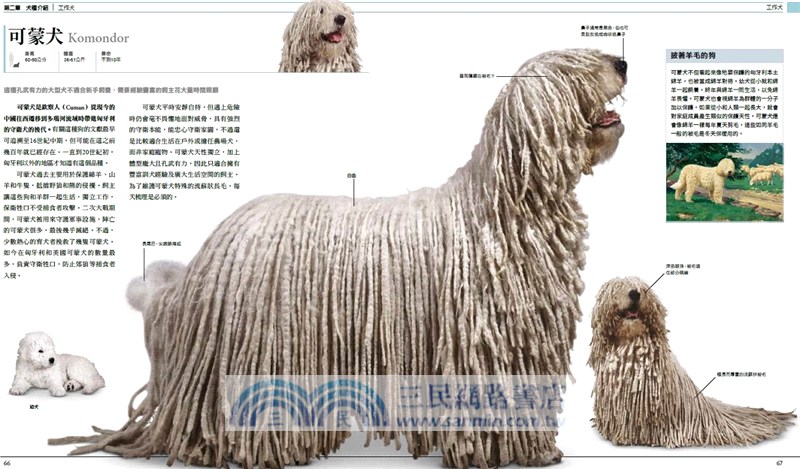 終極狗百科（最新修訂版）