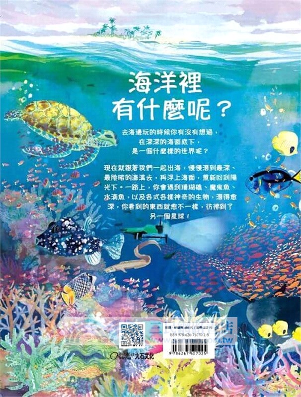 海洋裡有什麼呢？