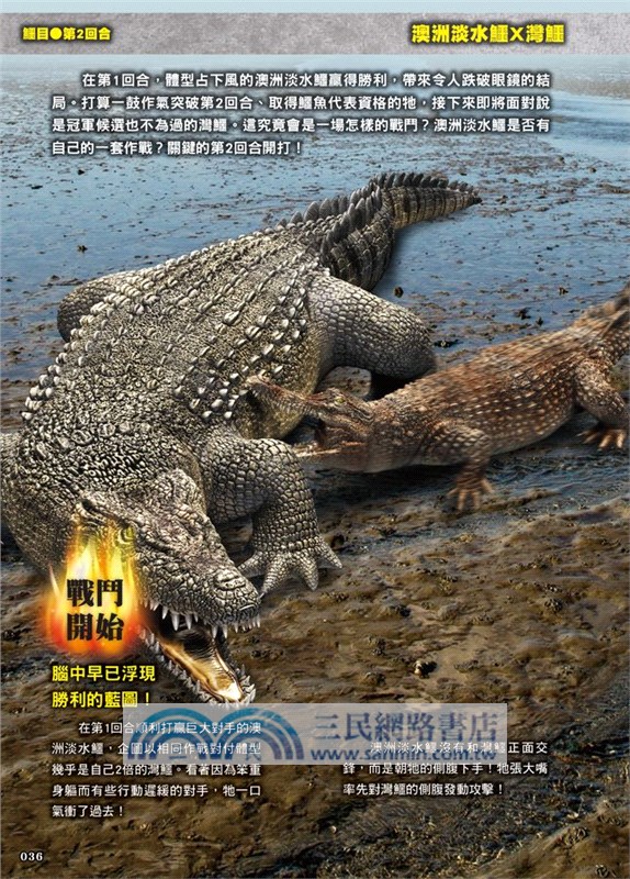 最強戰鬥06：危險爬蟲類最強王者大戰圖鑑