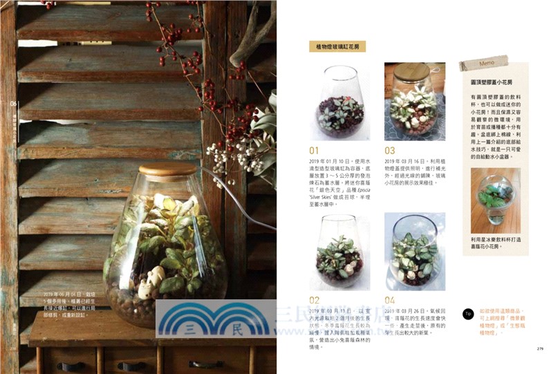 水耕盆栽超好養：無土不招蟲，加水就能活，輕鬆打造室內綠意（2025暢銷改版）