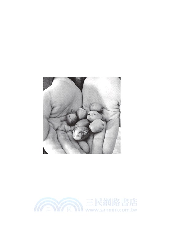 一位年輕博物學家的日記