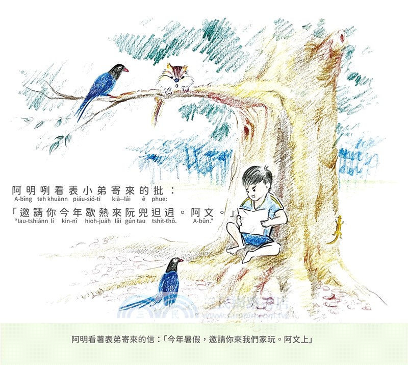 踅＝Strolling Around (繪本＋輔助牌卡)