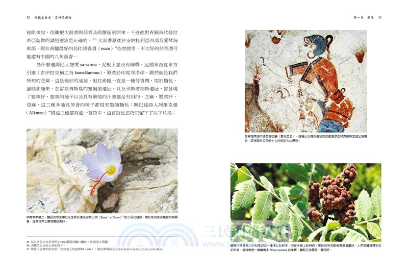 希臘美食史：眾神的禮物