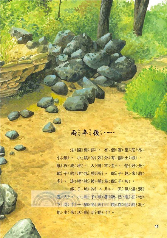 膽小的蠍子拳王阿里