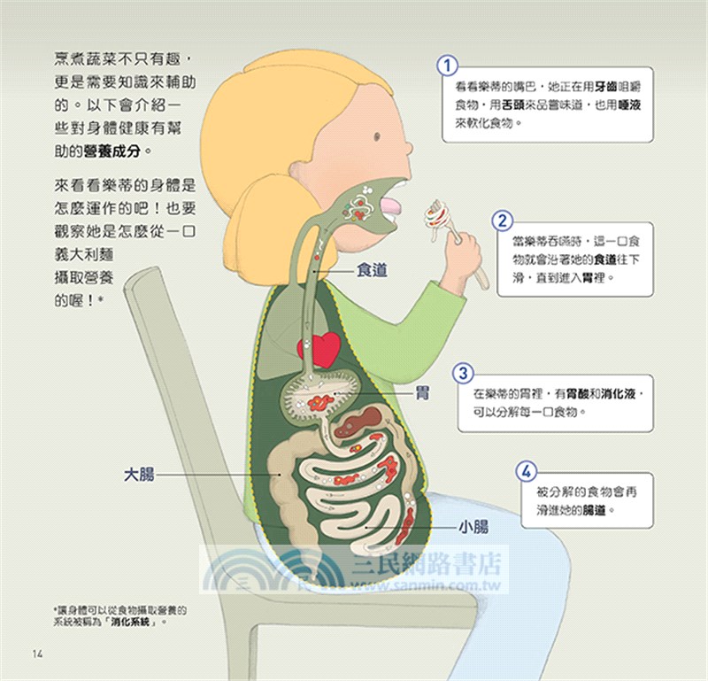 為什麼要這樣做，這個食物我不吃，認識消化系統與營養，健康的飲食習慣